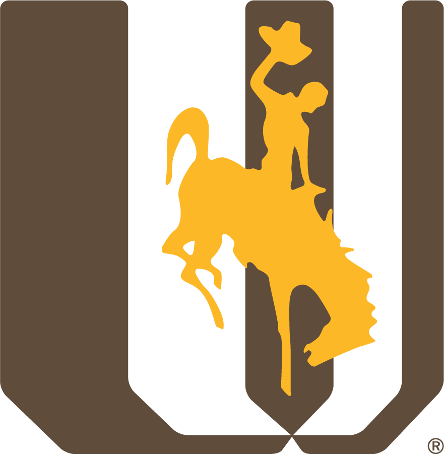 Wyoming Cowboys 1988-2000 Alternate Logo diy DTF decal sticker